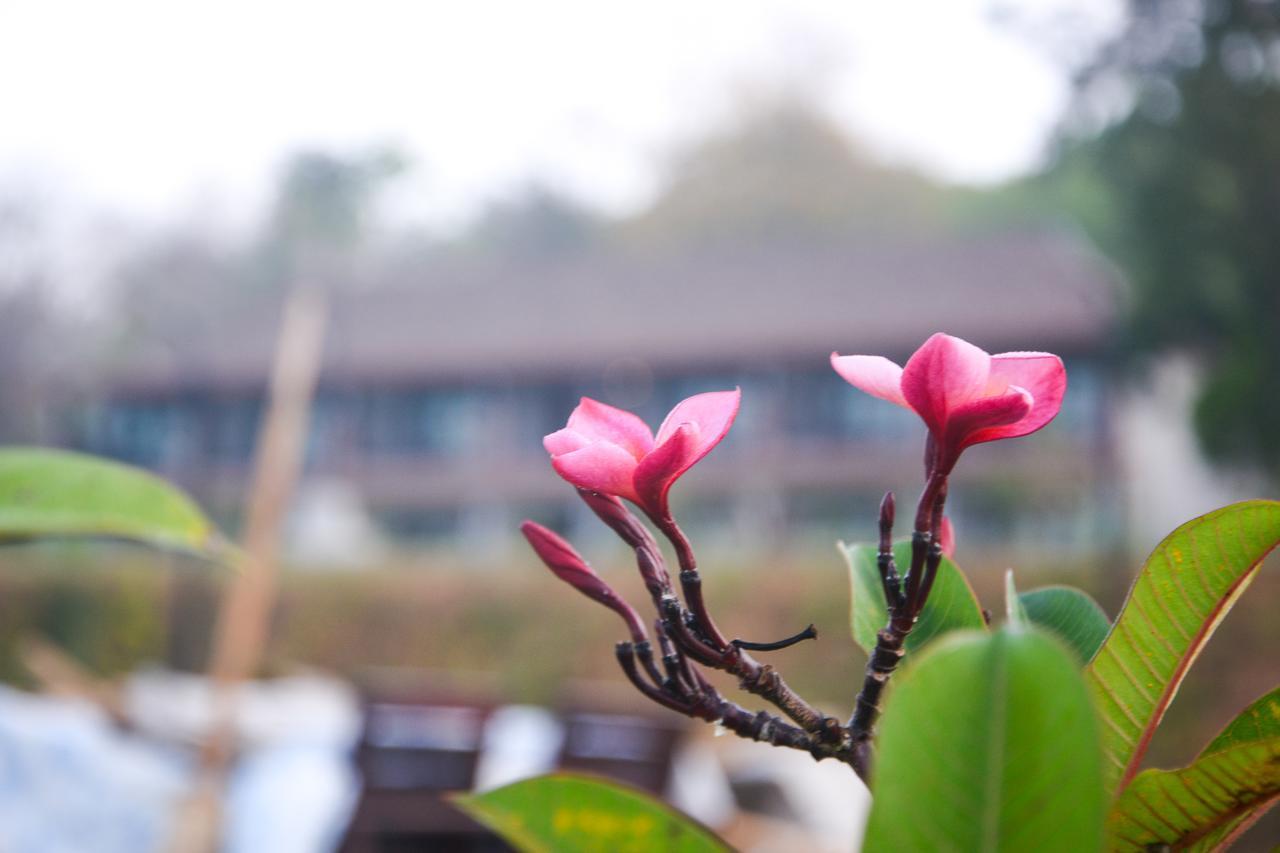 Phu Chom Mork Resort Sangkhla Buri Exterior foto